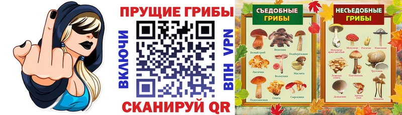 Галлюциногенные грибы ЛСД  Каспийск 