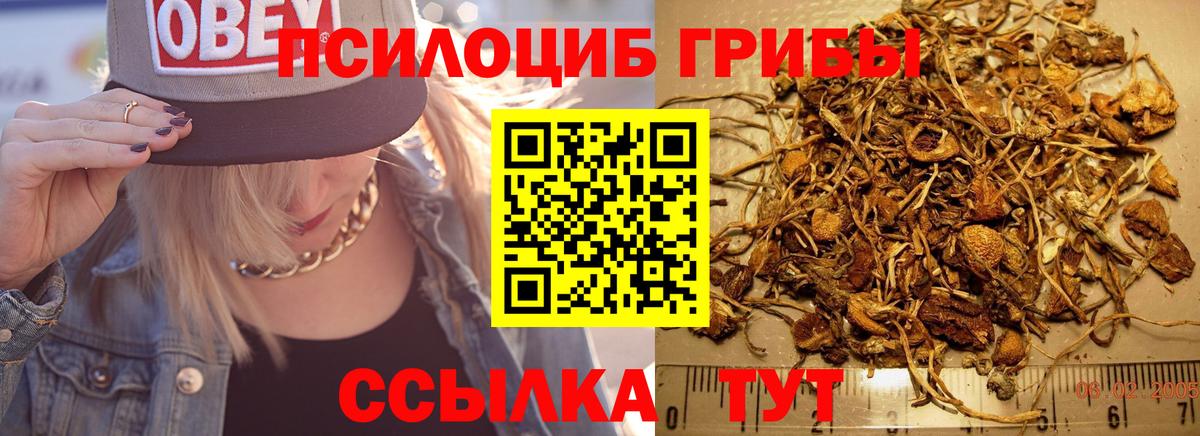Псилоцибиновые грибы Psilocybine cubensis  Вход с VPN  Галлюциногенные грибы мухоморы  Каспийск 